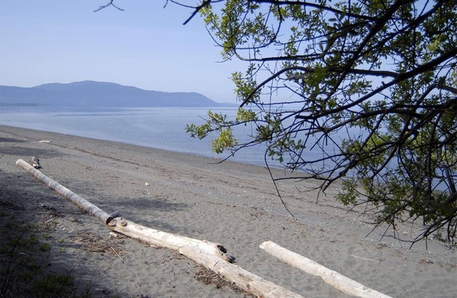 Beach, Pickleball-Tennis Court & Basketball Court
