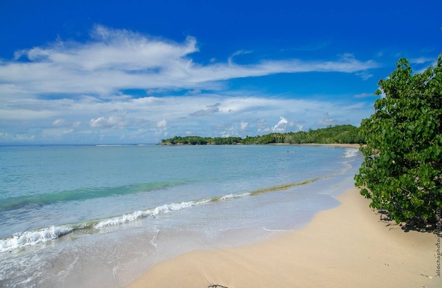 Beach View Appart :Luxury 2-bedroom apartment on Tartane beach