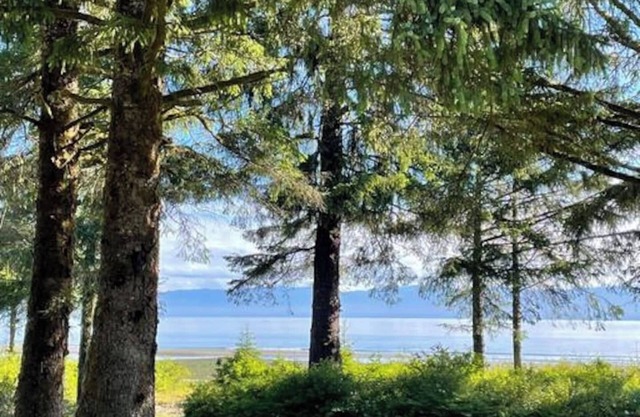 Beachfront Cabin – Pet-Friendly Romantic Escape w/Views & Huge Deck