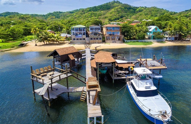 Beachfront! Diving, Snorkeling, Kayaking on site. Turtle Casa, ENTIRE VILLA!