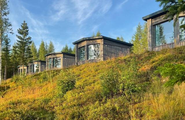 Bear Centre