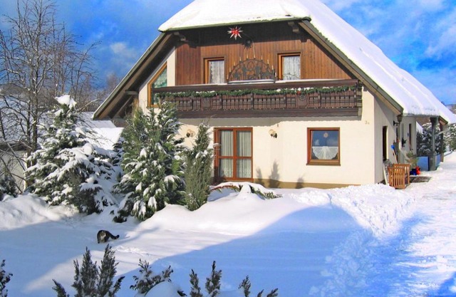 Beautiful Apartment in P hla Saxony near Ski Area
