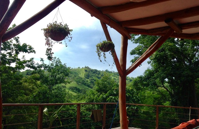 Beautiful Jungle Casa , walking distance to beach & town