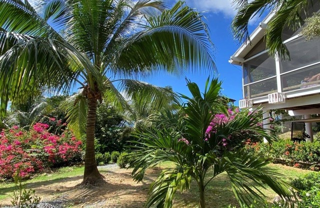 Beautiful pool and renovated casa and only 3 minute walk to West Bay Beach.