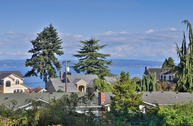 Beautiful Private Park-Like Setting with Water and Mountain Views, Great Wifi