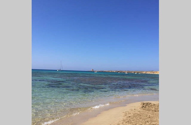 Beautiful property with organic land near the sea