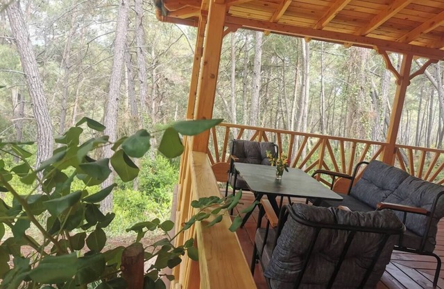 Beautiful silence charming Olympos Hypatia Villa