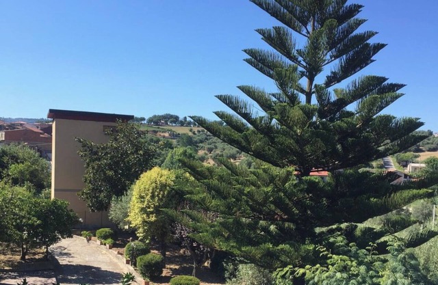 Beautiful Villa in the calabrian countryside