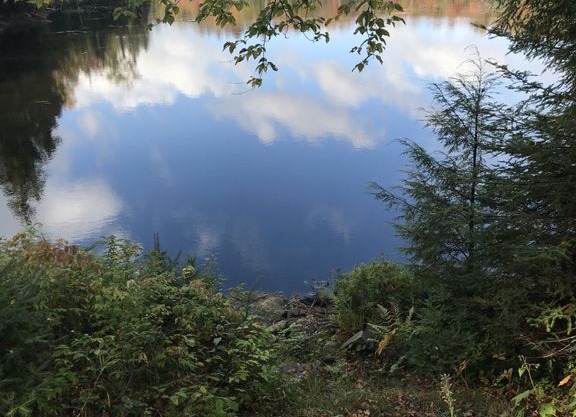BEAVERS POND ,INSIDE POOL AND LAKE ACCESS