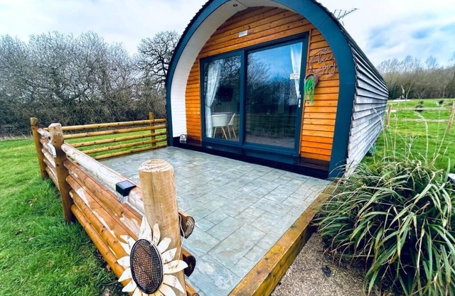 Beech Pod Cabin in beautiful surroundings Wrexham