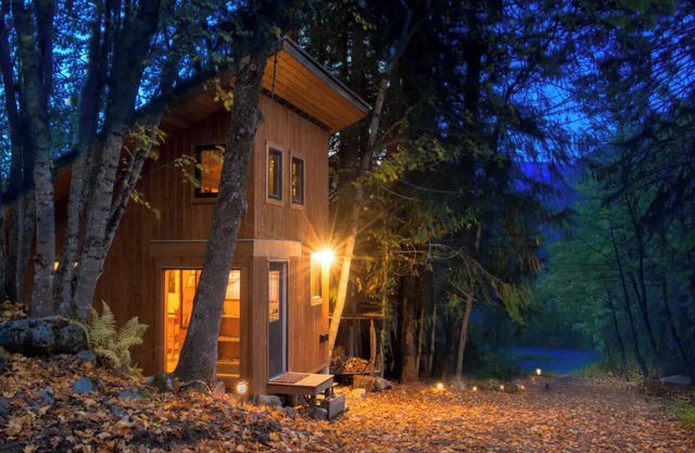 Bees Knees in the Trees Tiny Home - Hot Tub, Sauna & Cold Plunge