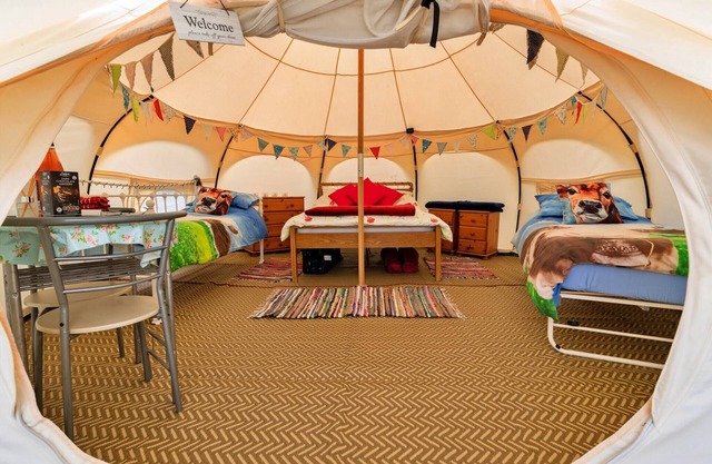 Bell Tent in Devon with Countryside Views