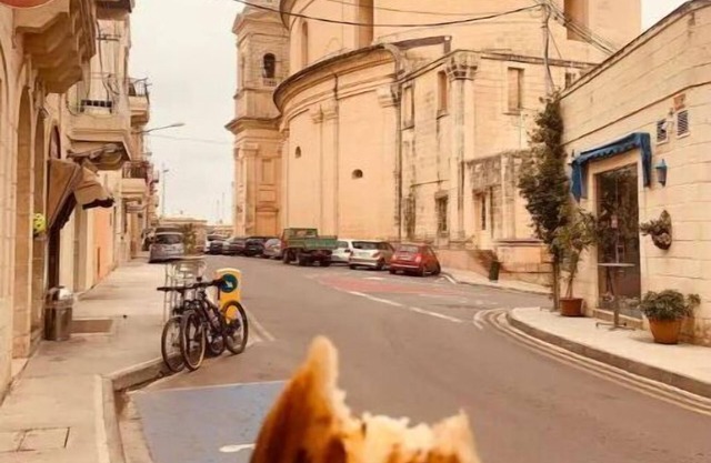 Best Maltese Village Core Living
