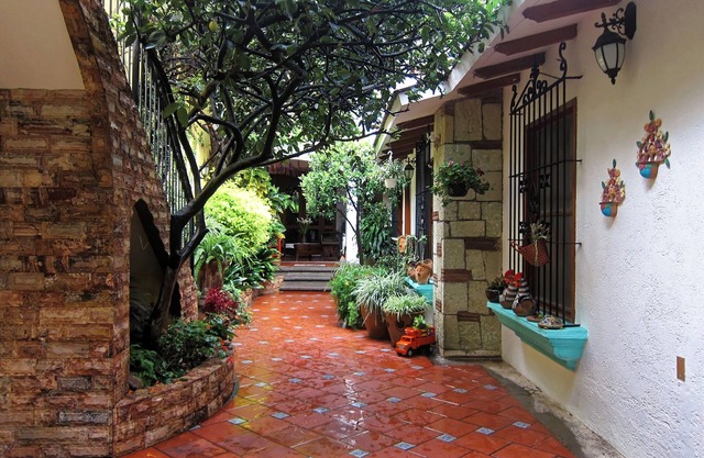 Best of Oaxaca apartments. Two, One Bedroom Apartments available . Apt Chato