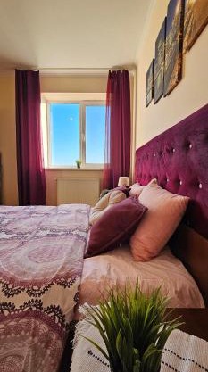 Best Two Room Apartment