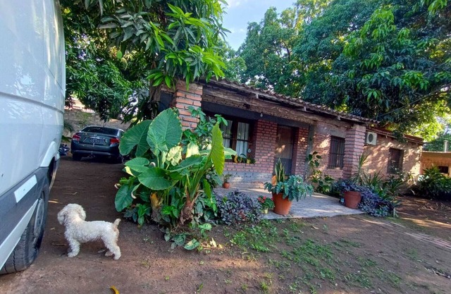 Between Mangos and Tucanes, home in the heart of the yungas