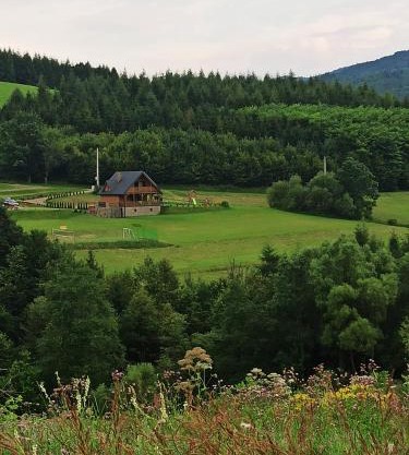 Bieszczady Żubrowe Wzgórze 785-049-543