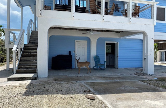 Big Pine Key House 4/2 with 75’ dock and a stunning bay view.
