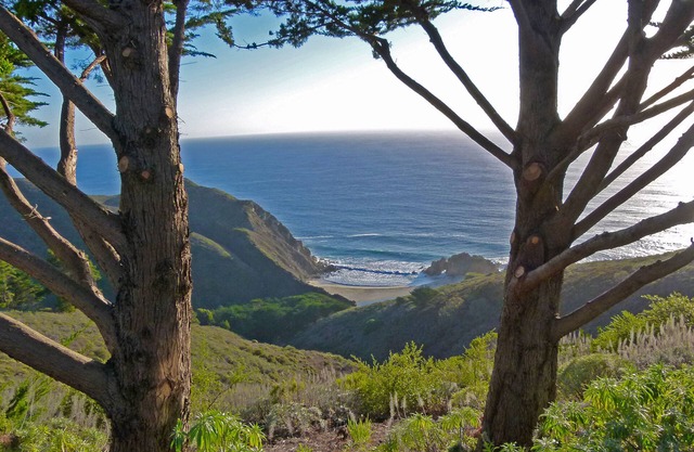 Big Sur 'On a Clear Ridge you can see forever.'
