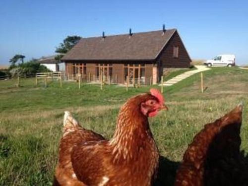 Bike Shed 1-Bed Cottage Sleeps 2 Pet Friendly