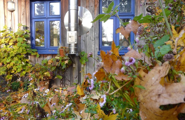 Bio-FeWo "Buche" with sauna and garden