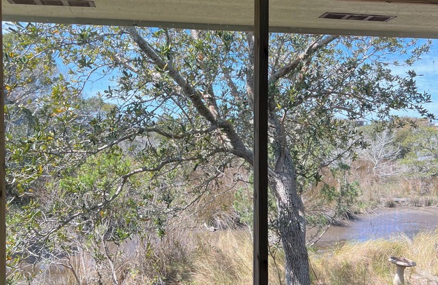 Birdland: Private tiny house with marsh views and kayak access