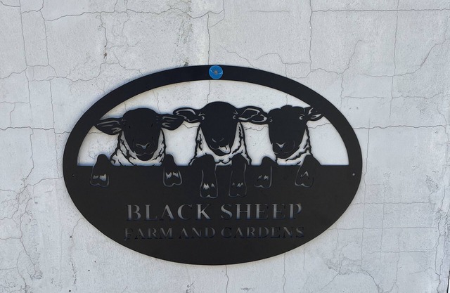 Black Sheep Farm and Gardens