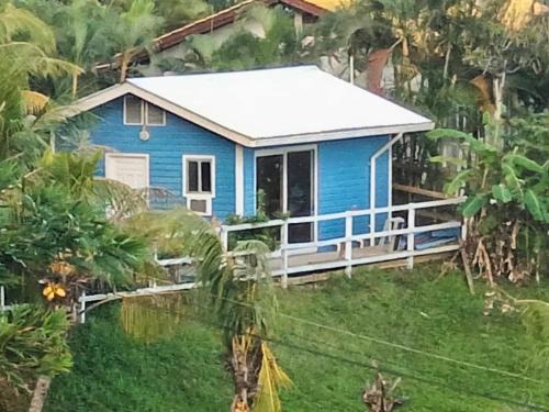 Blue haus