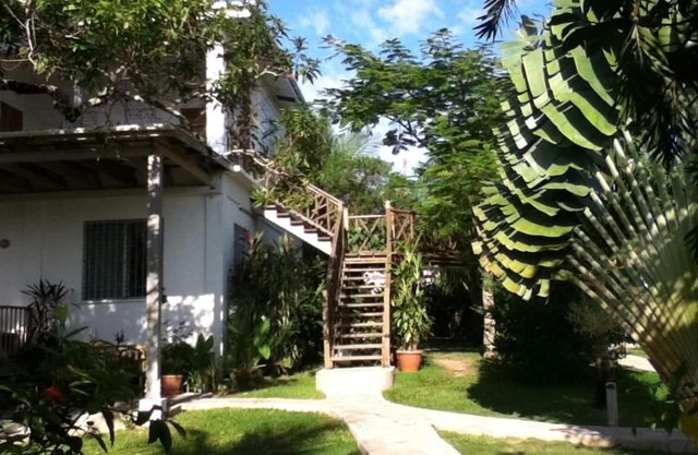 BlueBelize B&B
