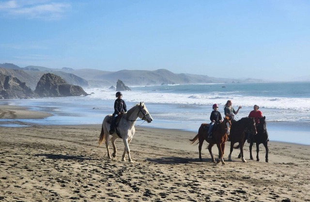 Bodega Bay Sonoma Coast Ocean Views 3 Bedroom Home