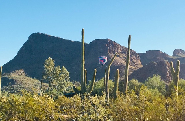 Bohemian desert sanctuary with stunning views!