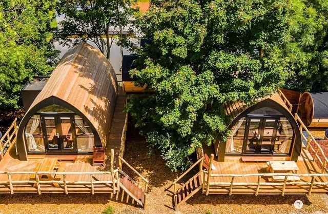 Boomhuis met Hut - Vakantiepark de Schreiershoek