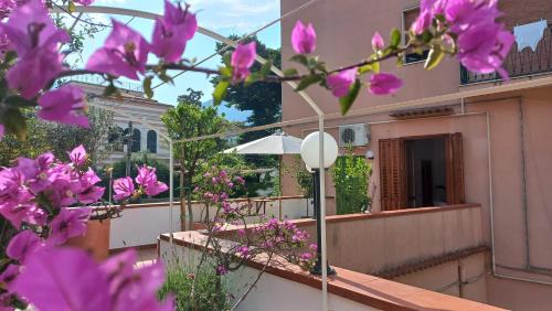 Borgo P Palazzo Catone