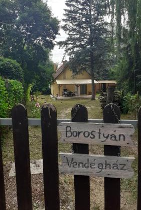 Borostyán Vendégház