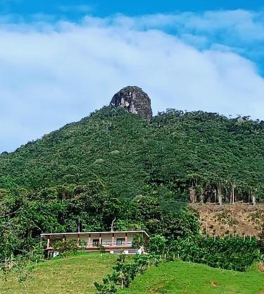 Bosque Místico