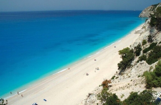 Breathtaking sea view surrounded by pine trees