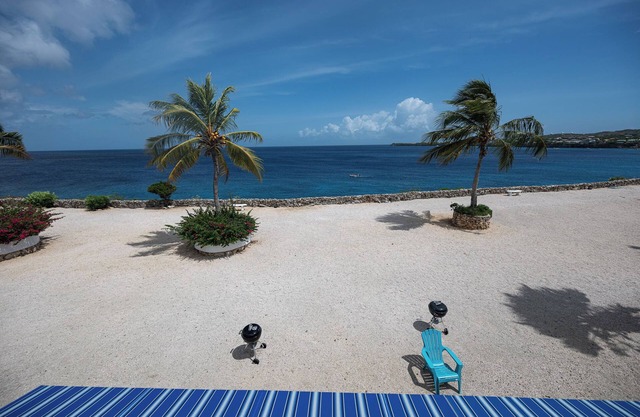 Breathtaking view of the Caribbean Ocean w/sea, snorkling & diving mere ft away