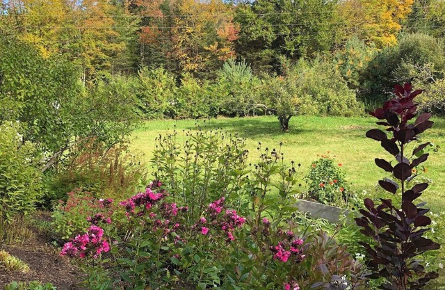 Bright, Spacious Family Getaway with Lake Access