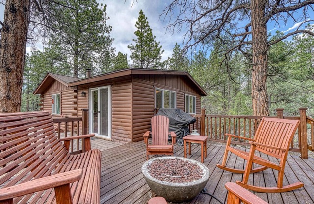 Buckskin Joe's Cabin