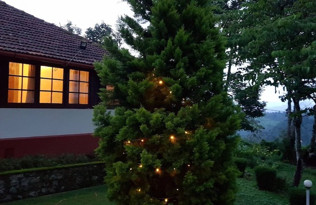 Bungalow with Tea Garden View
