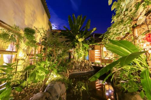 Butterfly Flowers Inn-One Way Free Pick up from Airport or TS over 2 nights