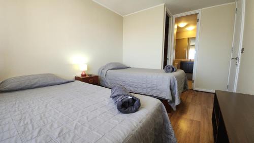 Cómodo depto en Calama centro