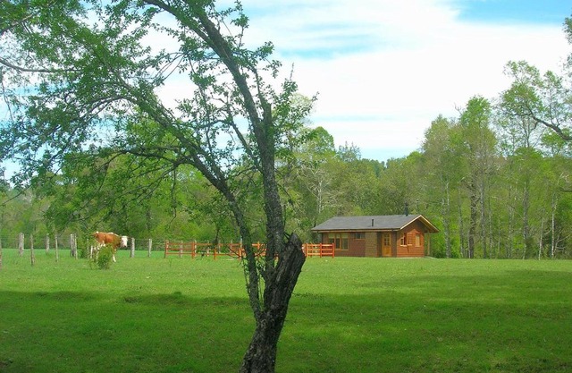 Cabañas Valle del Río
