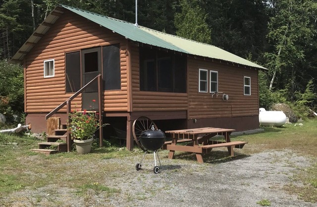 Cabin 4 Lakeview Shared Sauna-Hot Tub Patio, Lake Tours, Boat Rental