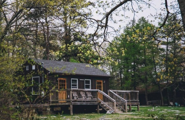 Cabin, 2 Bunkbeds, Shared Bathroom