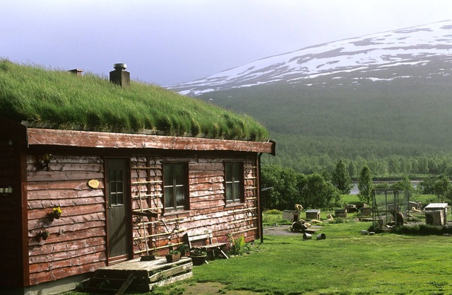 Cabin at Huskyfarm Innset