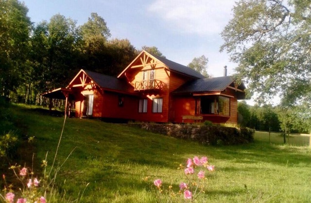 Chalet Type Pucon 