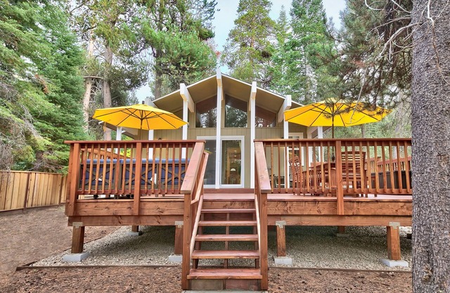 Cabin Nestled Among the Tall Pine