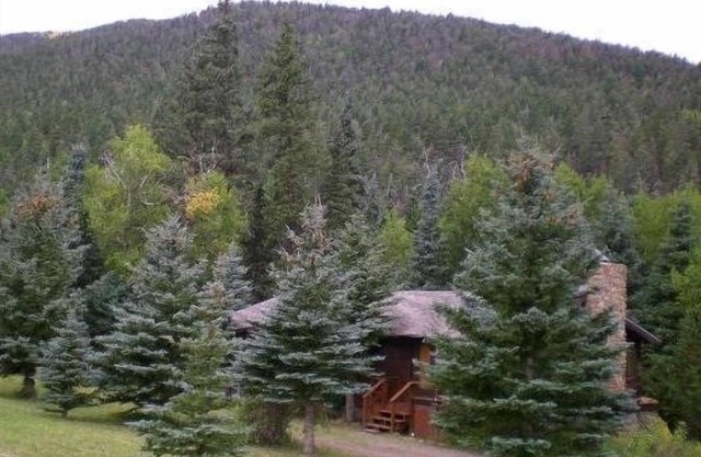 Cabin Nestled in Pines-Valley View, Mtn Trails, Cucharas River