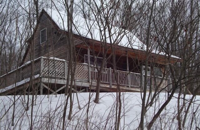 Cabin on 4 acres near Elk Mountain/Dogs OK/Easy Drive from Philly and NYC
